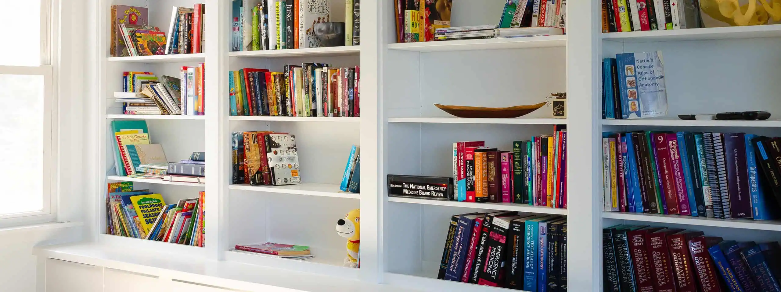 Custom built-in bookshelves